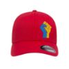 Picture of Ukraine Fist Side Logo Embroidered Flexfit Hat